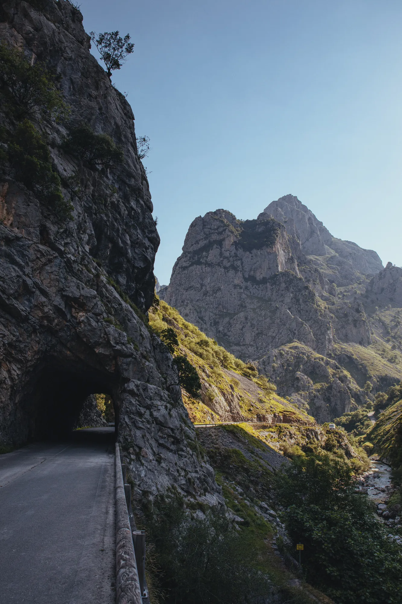 Picos de Europa