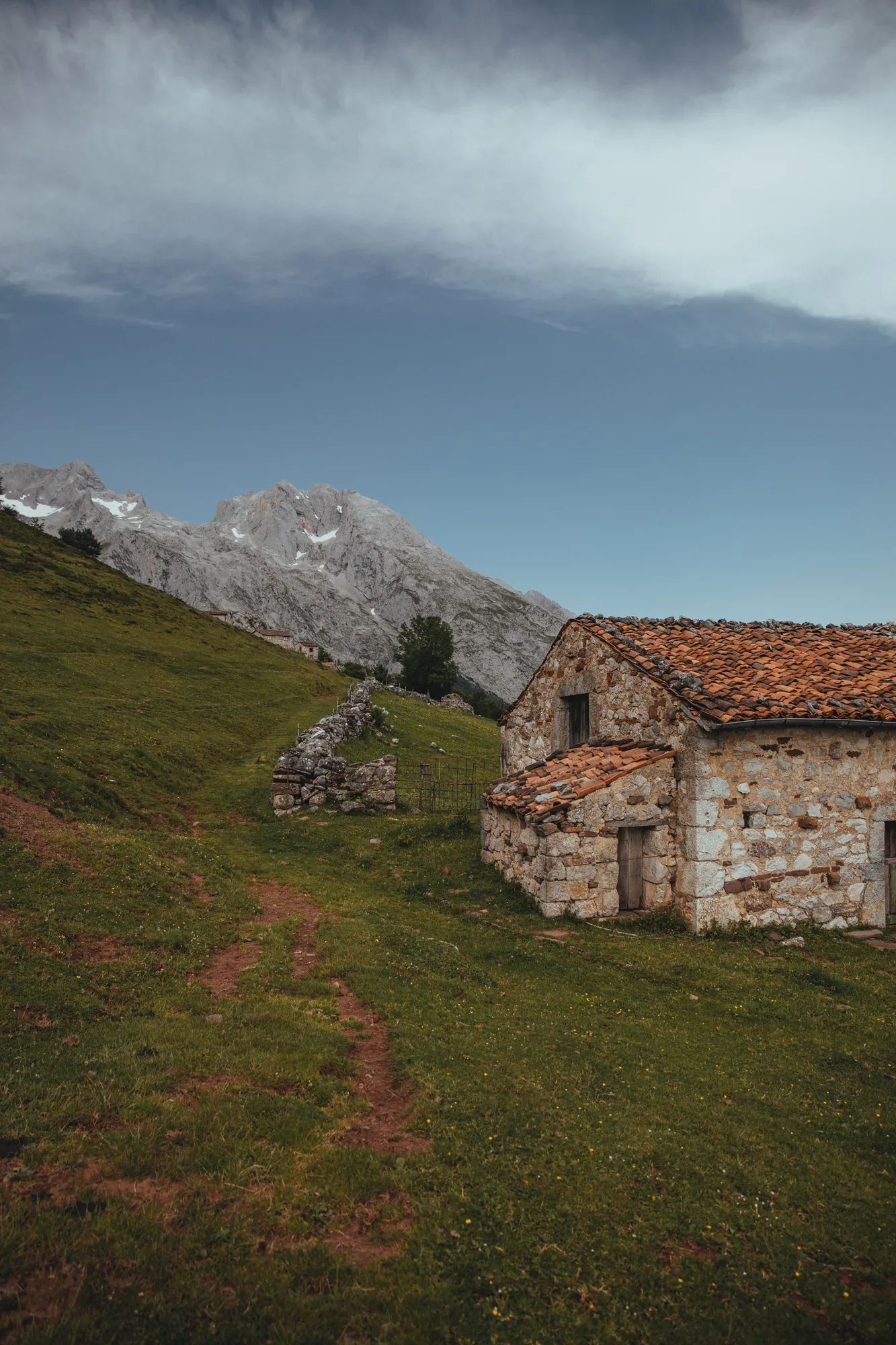 Picos de Europa